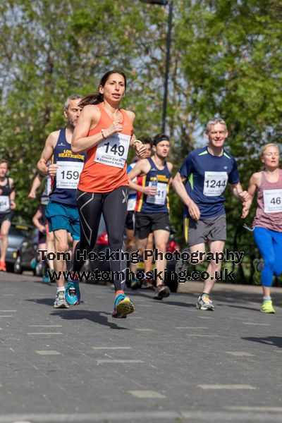 2016 Crouch End 10k 50