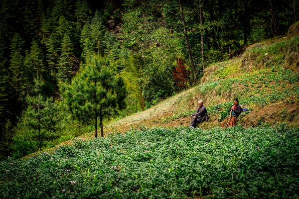 Farmers take a break, Nepal